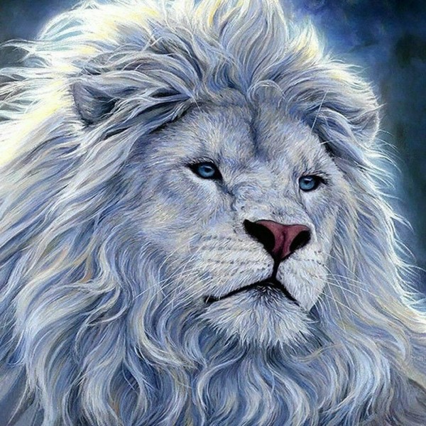 Witte leeuw met blauwe ogen