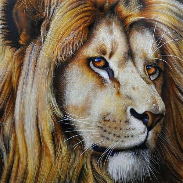 Getekende leeuw close up