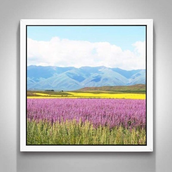 Volledige boor - 5D DIY Diamond Painting Kits Beautiful Lavender Field Nature