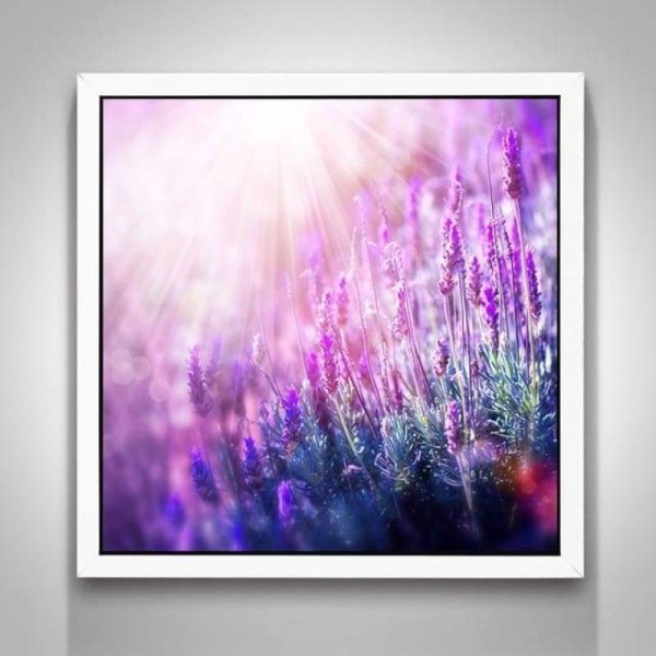 Volledige boor - 5D DIY Diamond Painting Kits Purple Lavender Fields Nature