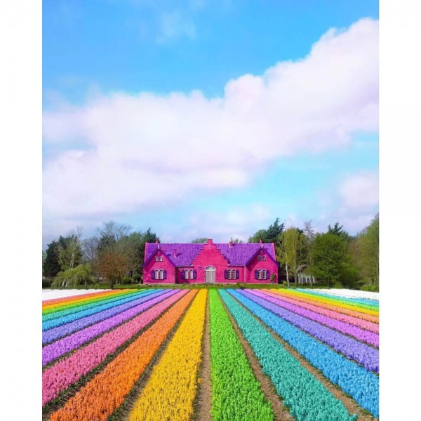 DIY Diamond Painting - Landschappen PIX-2232