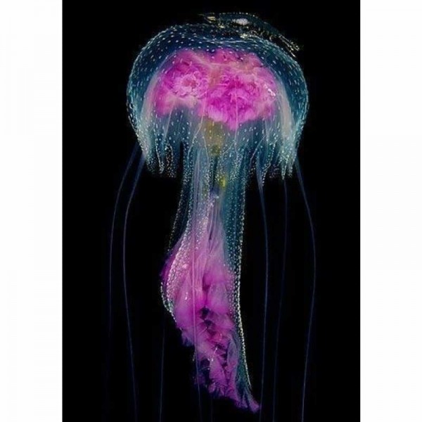 Volledige boor - 5D DIY Diamond Painting Kits Beautiful Jellyfish