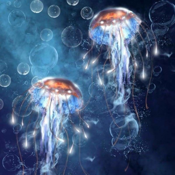 Volledige boor - 5D DIY Diamond Painting Kits Dream Jellyfishs