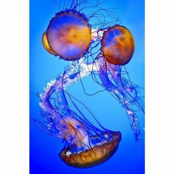 Volledige boor - 5D DIY Diamond Painting Kits Fantastic Jellyfishs