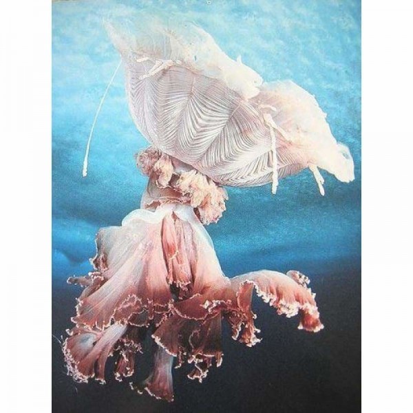 Volledige boor - 5D Diamond Painting Kits Special Pink Jellyfish