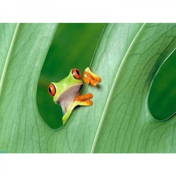 Volledige boor - 5D DIY Diamond Painting Kits Green Cute Frog