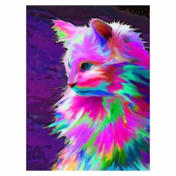 Regenboog kat