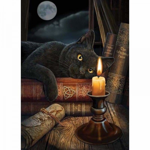 Zwarte kat bij kaarslicht