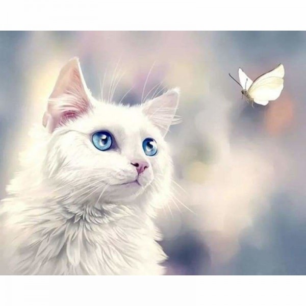 Witte kat en witte vlinder