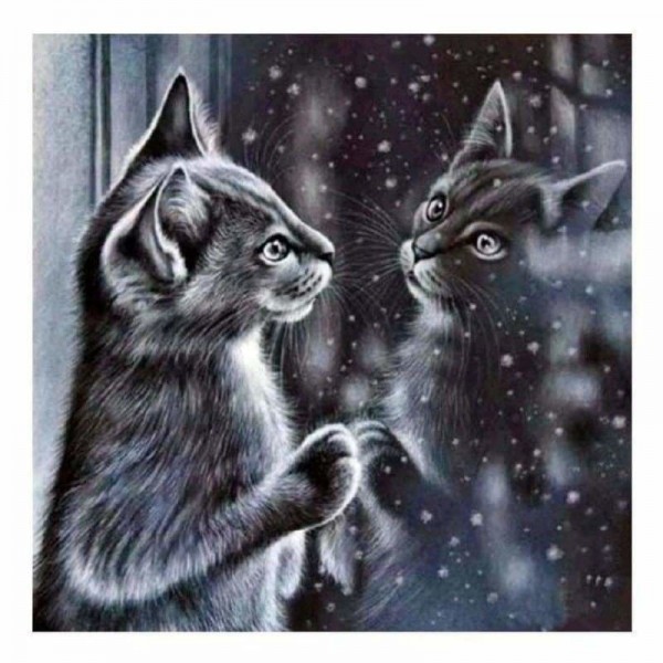 Zwart witte kat in de spiegel