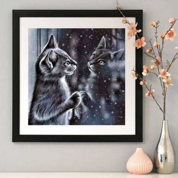 Zwart witte kat in de spiegel