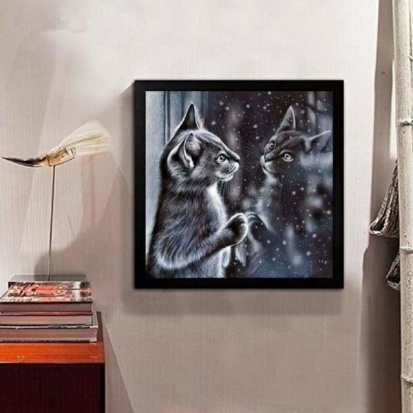 Zwart witte kat in de spiegel