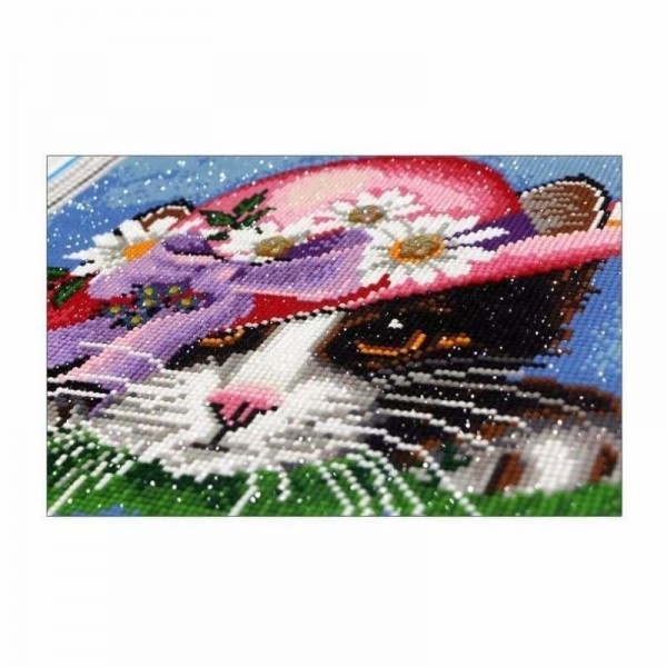 Schattige kat met roze hoed