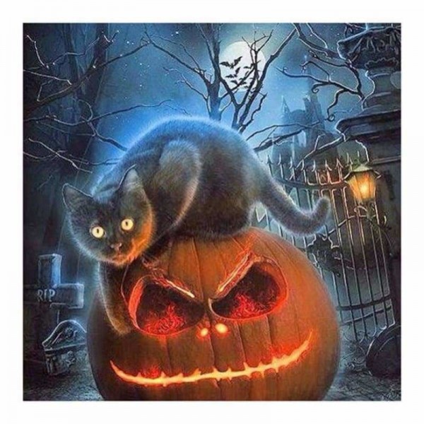 Kitten op begraafplaats halloween