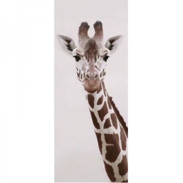 Foto mooie giraffe