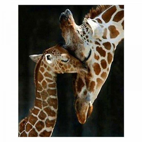Giraffe moeder kind liefde