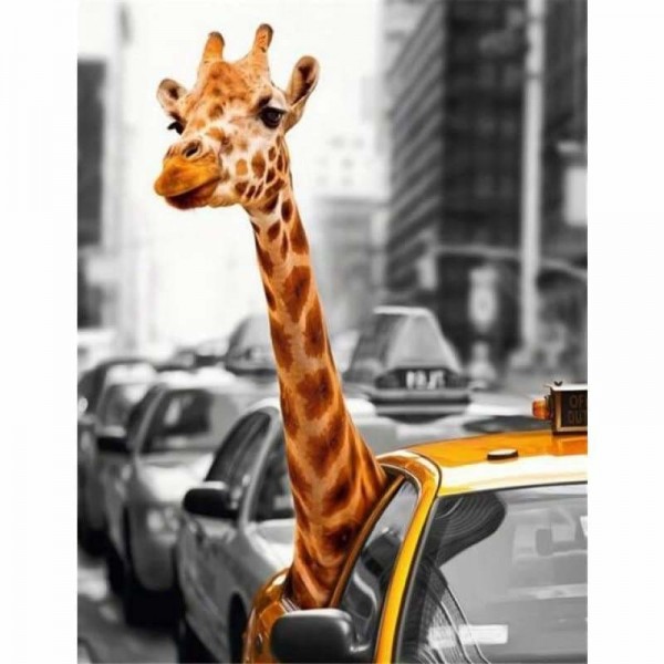 Grappige giraffe in taxi