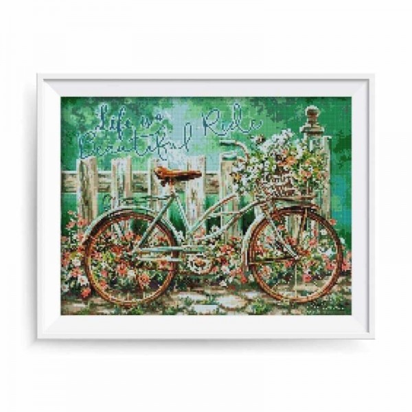 Volledige boor - 5D DIY Diamond Painting Kits Cartoon Bicycle Flowers
