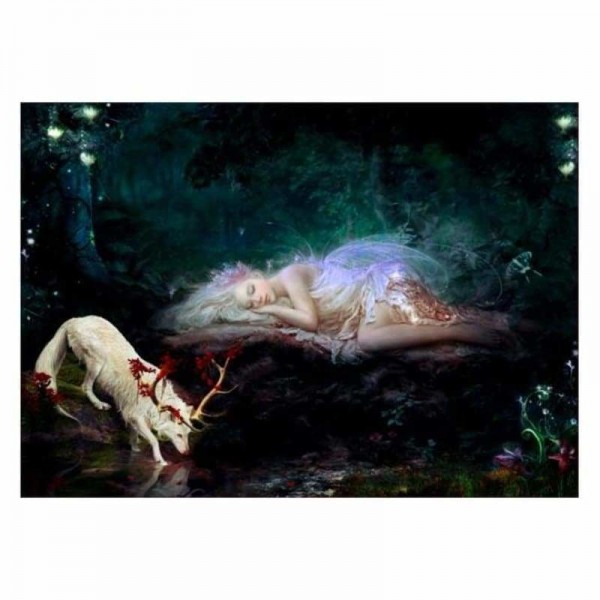 Volledige boor - 5D DIY Diamond Painting Kits Fantastic Fairy And Deer