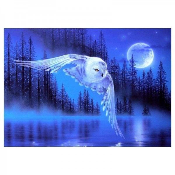 Volledige boor - 5D DIY Diamond Painting Kits Fantasy Cool Blue Owl Flying