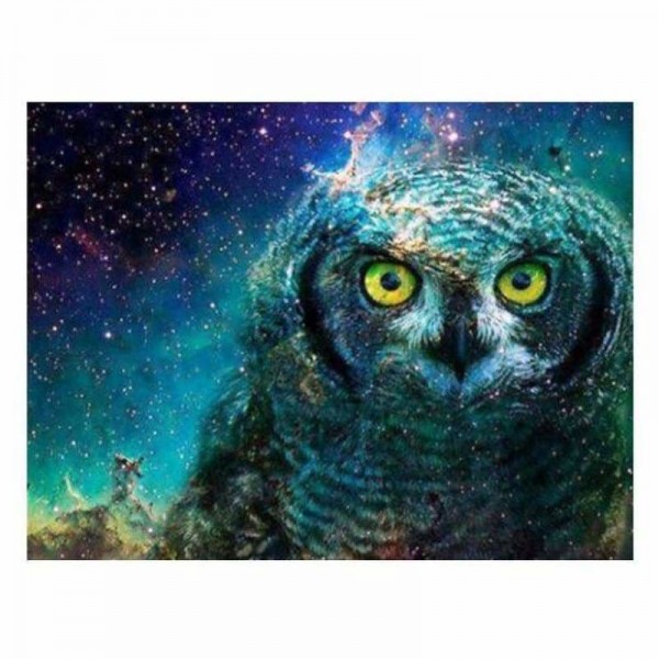 Volledige boor - 5D DIY Diamond Painting Kits Fantasy Cool Blue Owl Starry Sky