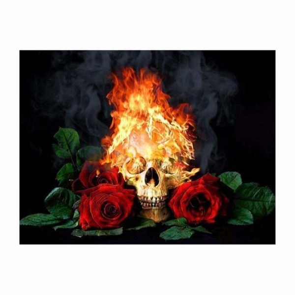 Volledige boor - 5D DIY Diamond Painting Kits Fantasy Styles Pretty Roses with Burning Skull
