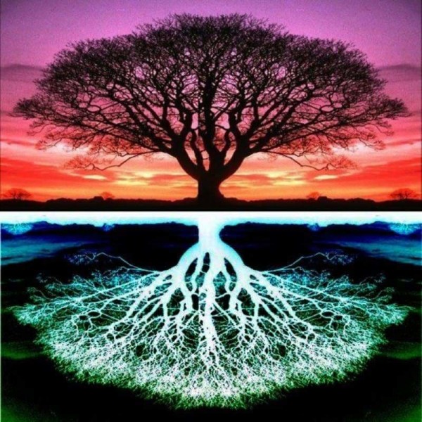 Full Drill - 5D DIY Diamond Painting Kits Colorful Fantasy Tree Different Reflection