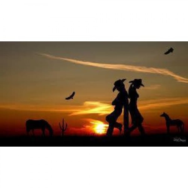 DIY Diamond Painting - Western Cowboy PIX-402