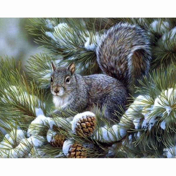 DOUBLE Full Vorm steentjes - 5D DIY Diamond Painting Kits Snow Squirrels