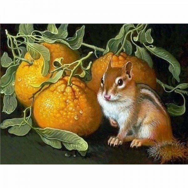 Sinaasappel eekhoorn