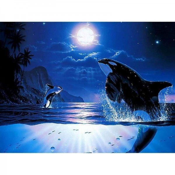 Volledige boor - 5D DIY Diamond Painting Kits Fantastic Dream Dolphin Moon Night