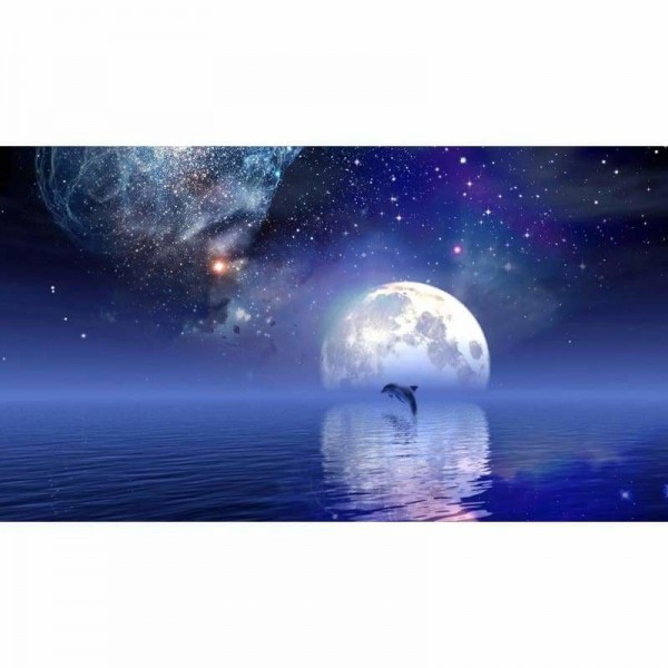 Volledige boor - 5D DIY Diamond Painting Kits Starry Sky Moon Dolphin