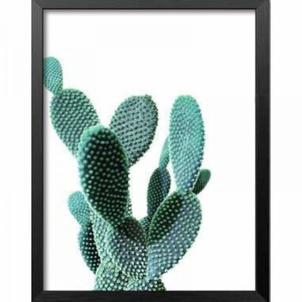Volledige boor - 5D DIY Diamond Painting Kits Artistieke Cartoon Cactus
