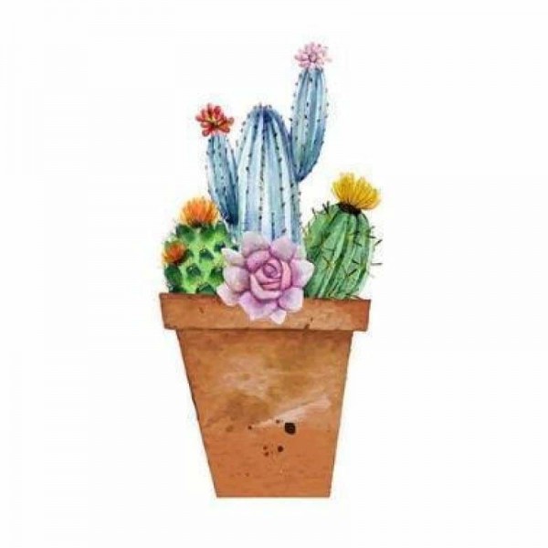 Volledige Boor - 5D DIY Diamant Schilderij Kits Artistieke Cartoon Cactus Bloemen