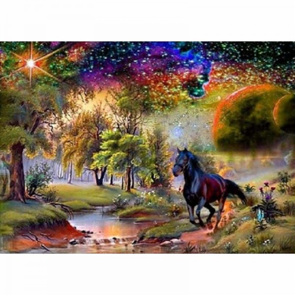 Volledige boor - 5D DIY Diamond Painting Kits Black Horse in the Forest