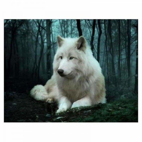 Volledige boor - 5D DIY Diamond Painting Kits Special White Wolf in the Dark Forest