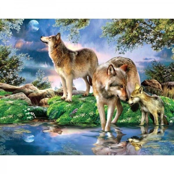 Volledige boor - 5D DIY Diamond Painting Kits Kleurrijke Cartoon Wolf Forest Family