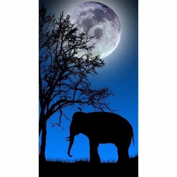 DOUBLE New Dream Night Sky Moon Elephant Full Vorm steentjes - 5D Diy Diamond Painting Kits VM9057