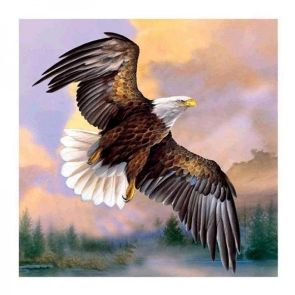 Volledige boor - 5D DIY Diamond Painting Kits Populaire aquarel Eagle Flying