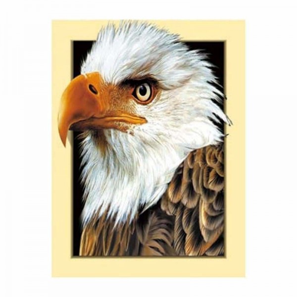 Volledige boor - 5D DIY Diamond Painting Kits Serious Eagle Head