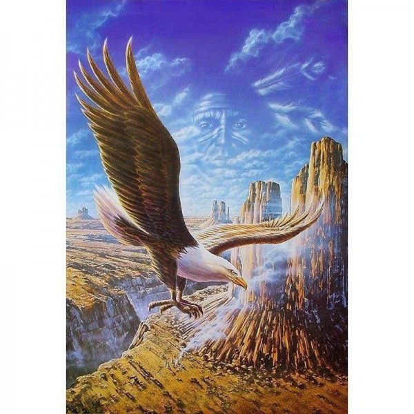 Volledige boor - 5D DIY Diamond schilderij Flying Eagle mozaïek kunst