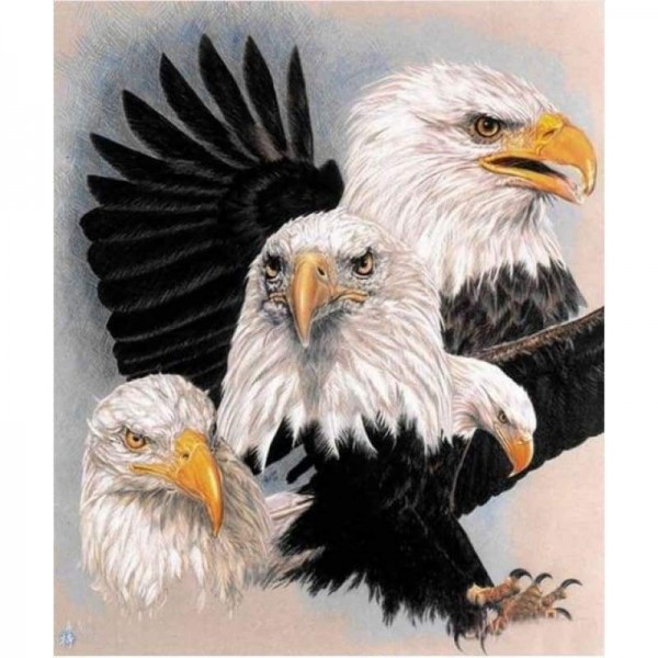 Nieuwe Animal Eagle Picture Wall Decor Full Drill - 5D Diy Diamond Painting Kits