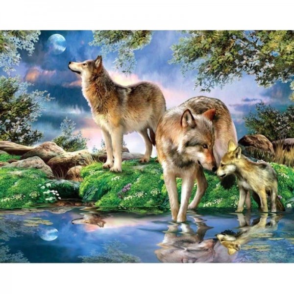 Volledige boor - 5D DIY Diamond Painting Kits Wolf Family In Forest